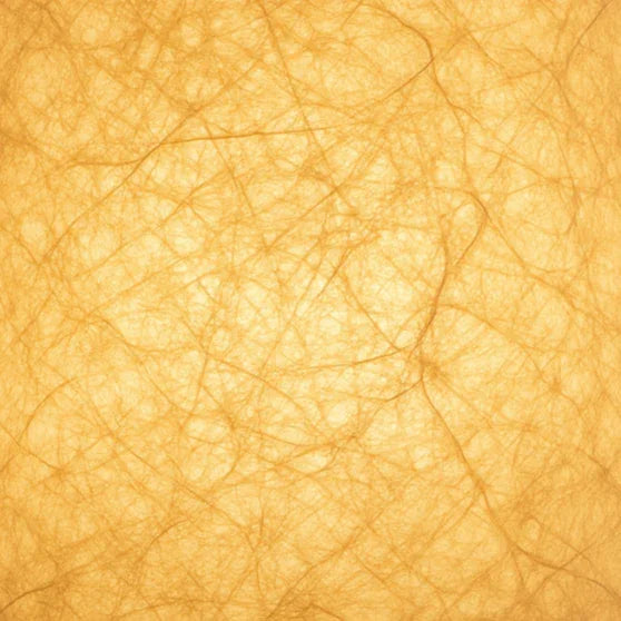 The Solestra Lamp - Zaloriae